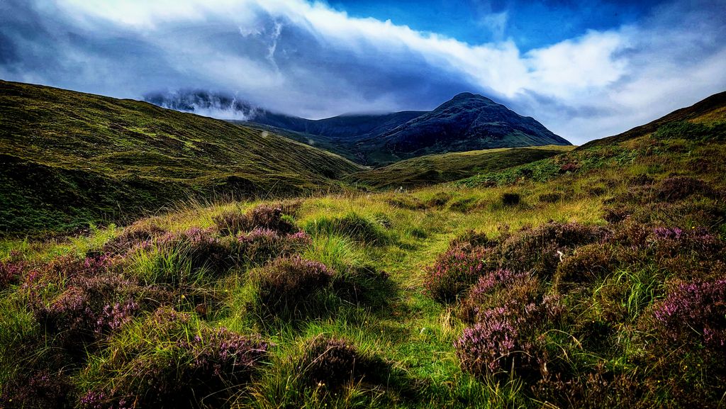 Cuillins Hills & Heather